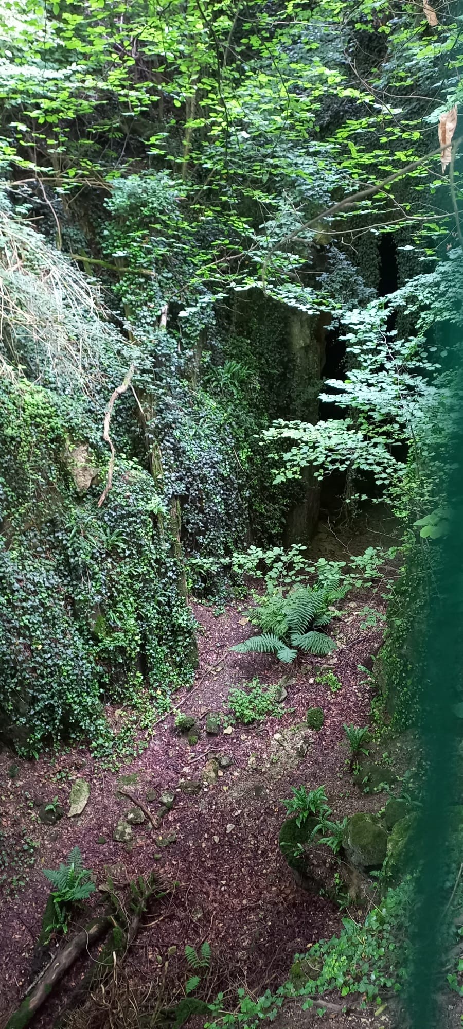 Img 20240702 wa0048