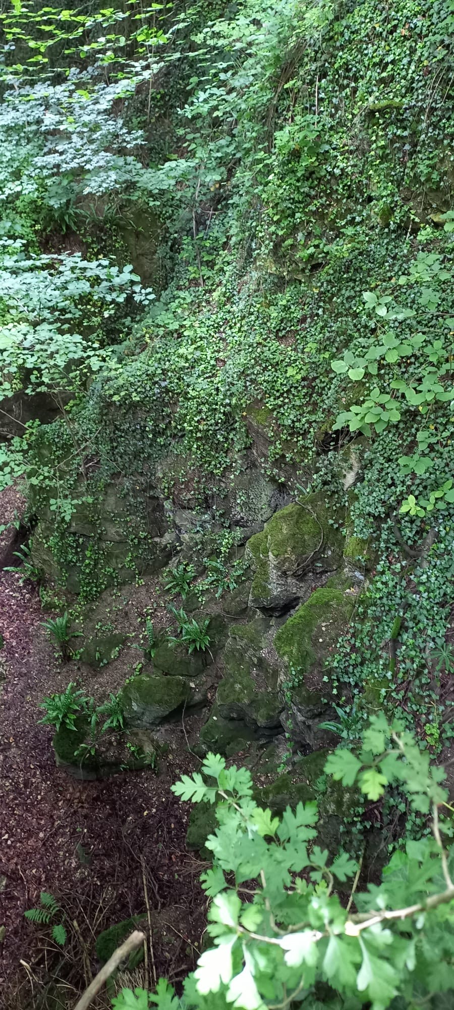 Img 20240702 wa0049