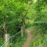 Img 20250518 wa0012