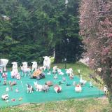 Img 20250518 wa0022
